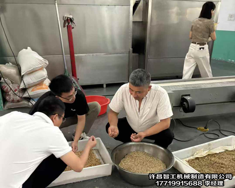 安徽客戶來廠試機(jī)電磁流水線炒貨機(jī)炒制薏仁米
